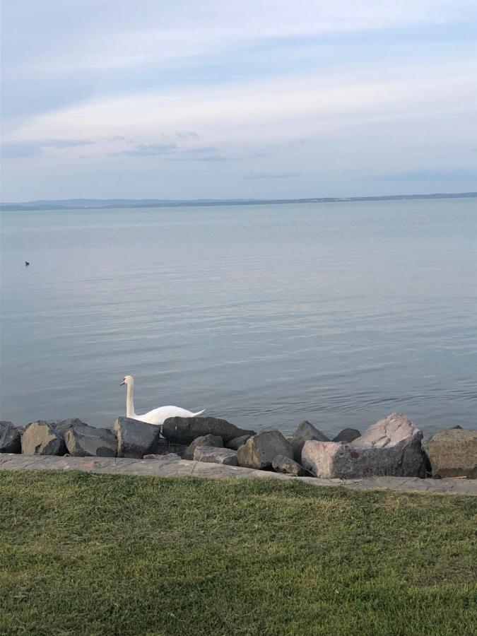 House For 6 Ppl At Lake Balaton 希欧福克 外观 照片